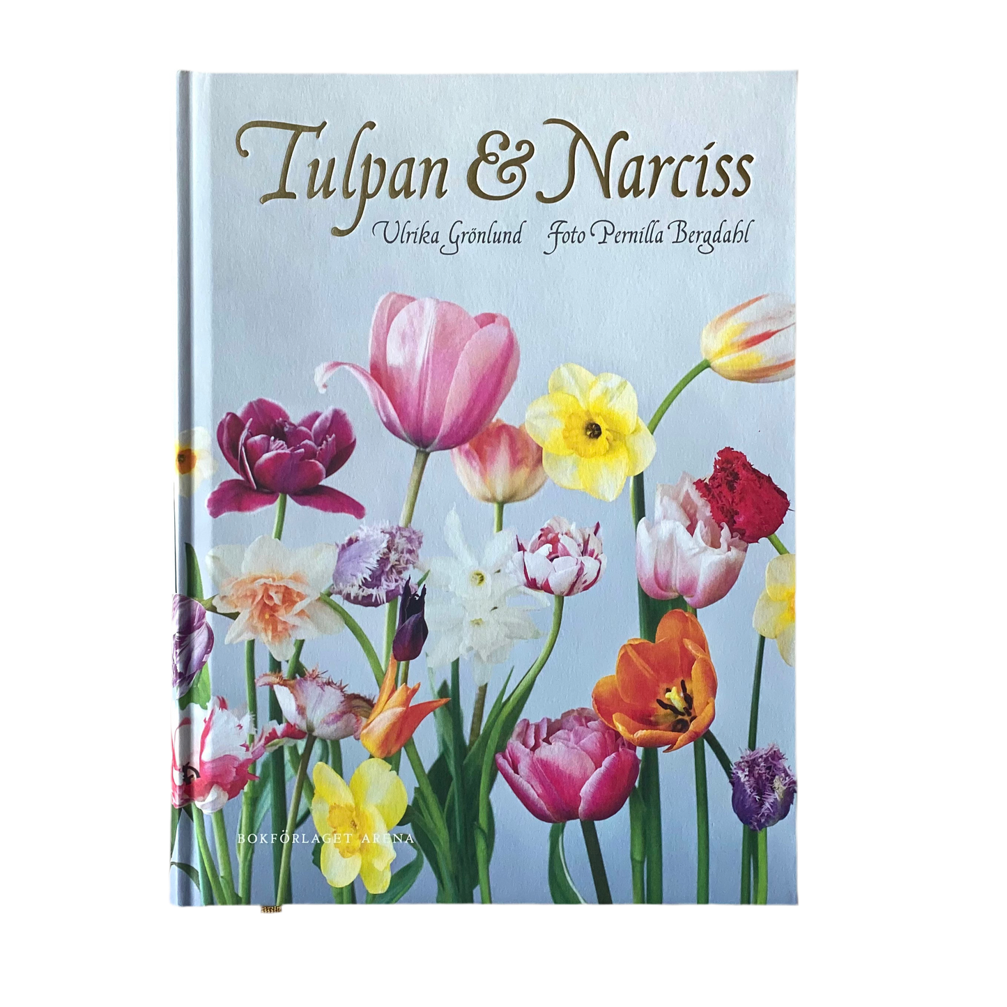 Tulpan & Narciss
