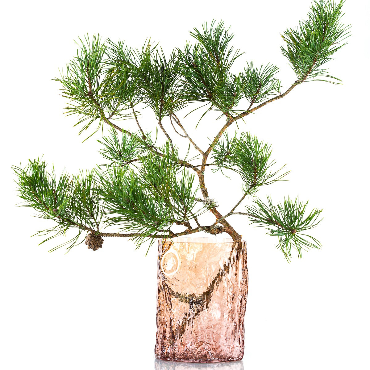 Skog vas Markus Emilsson