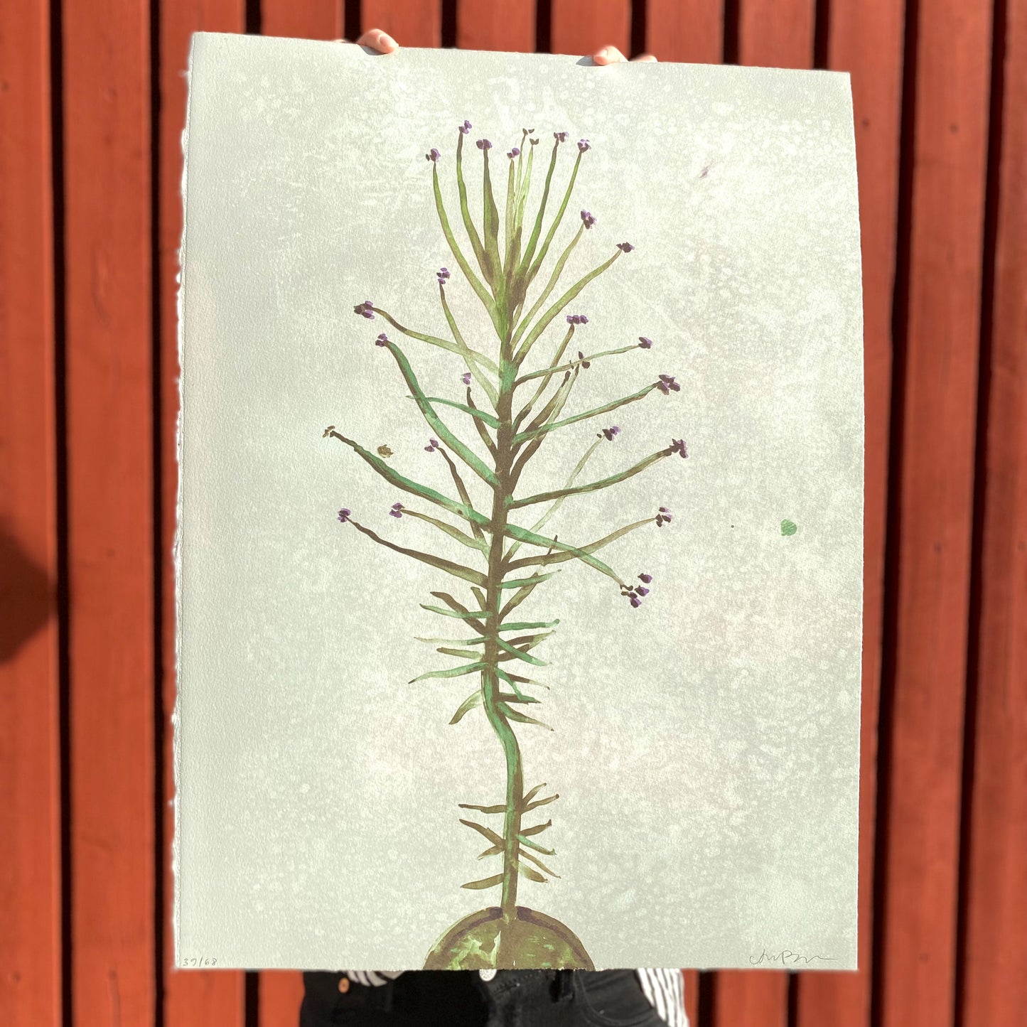 Anna Bjerger Livsblad