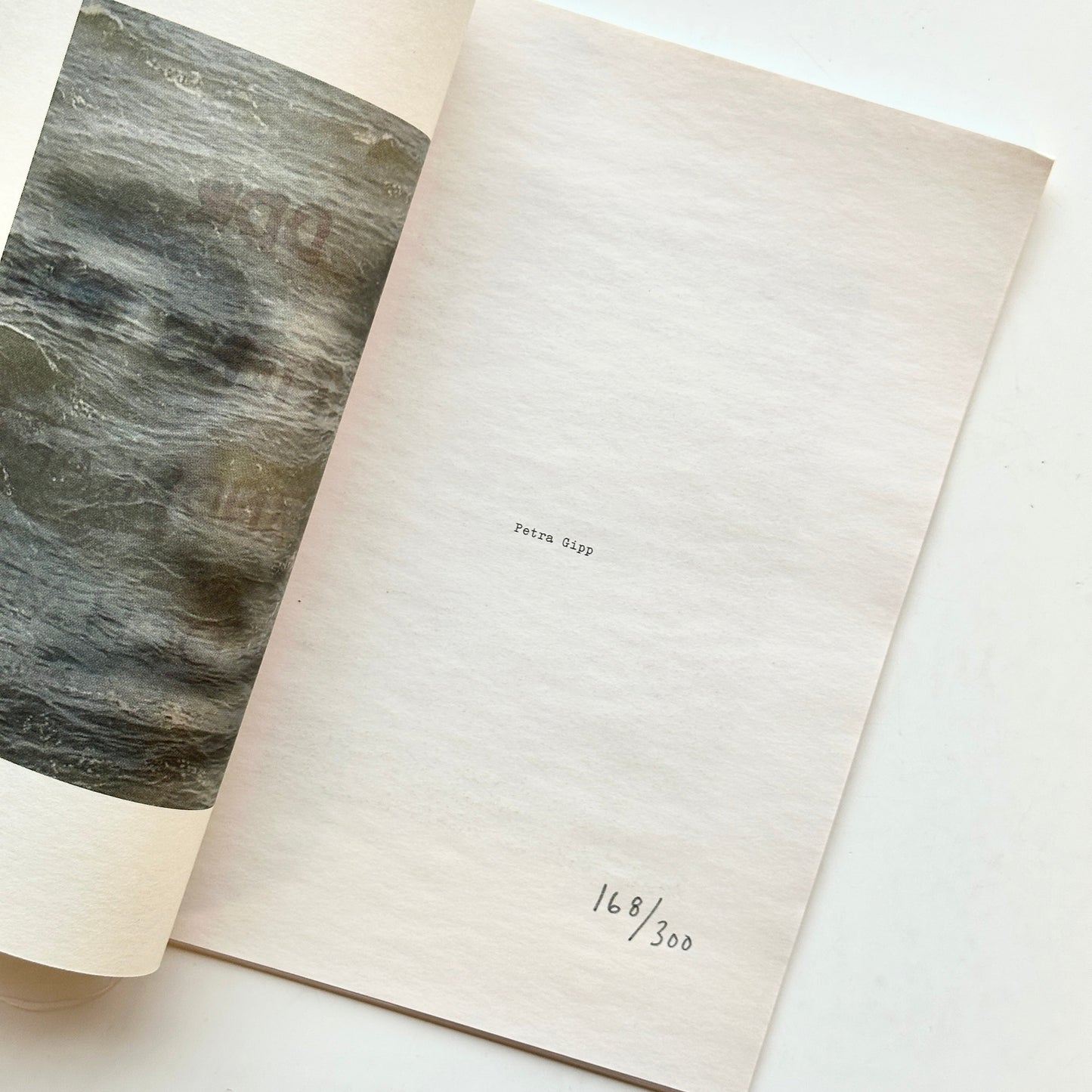 Petra Gipp DDR: flyktens spår; i landskap, kropp och minne