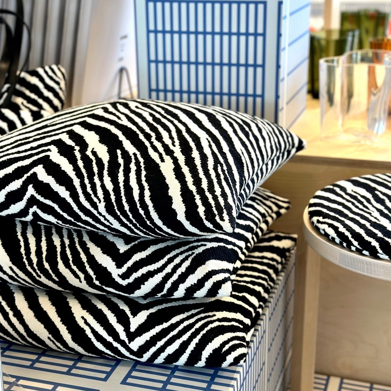 Zebra kudde
