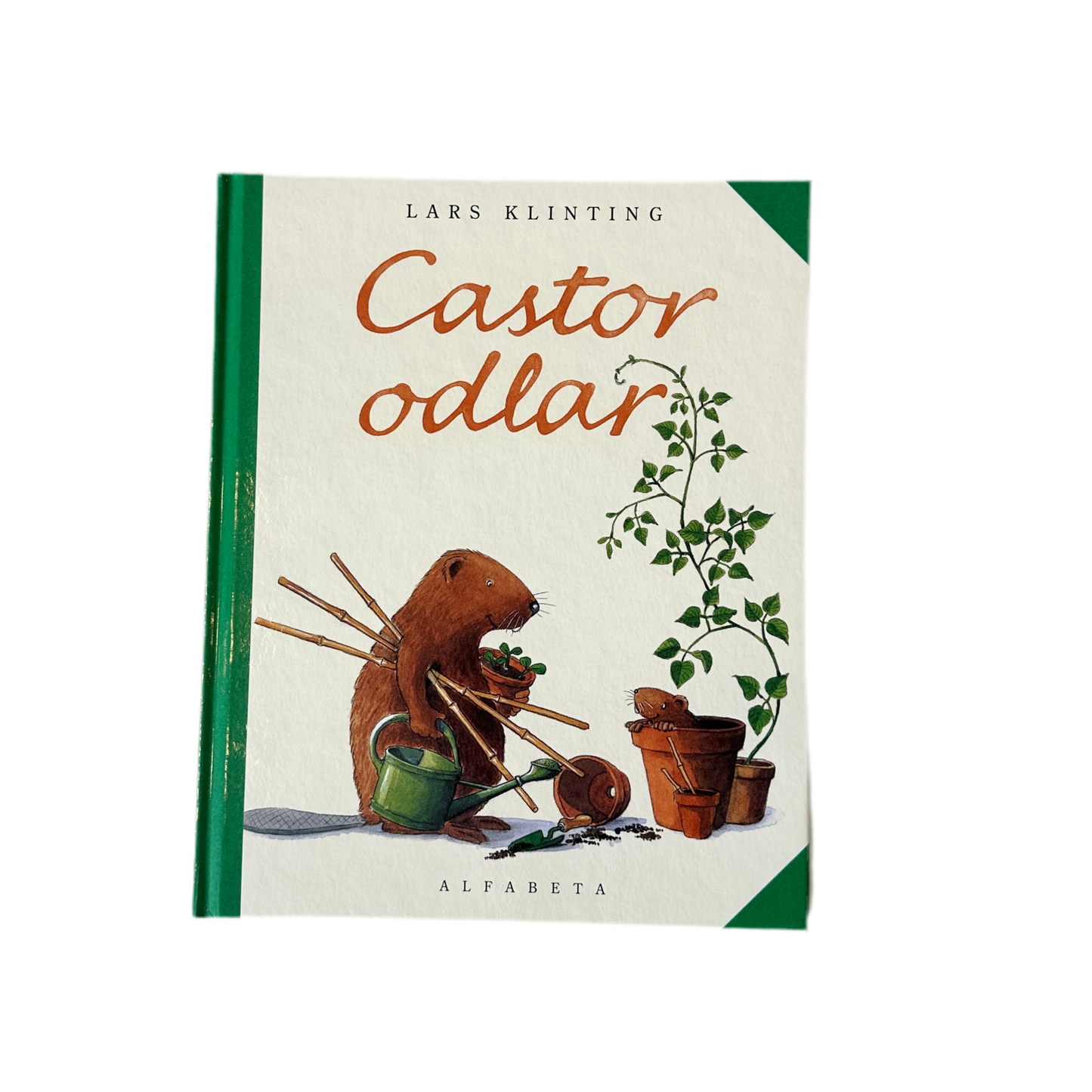 Castor odlar