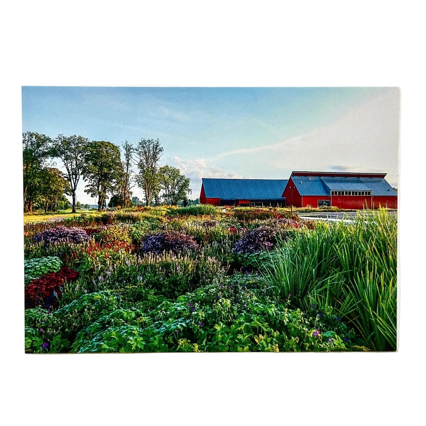 Vykort Vandalorum Trädgård