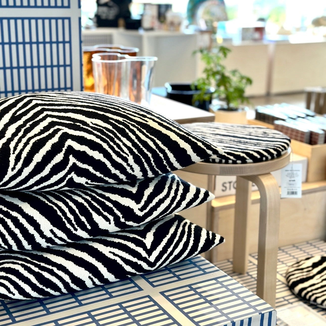 Zebra kudde