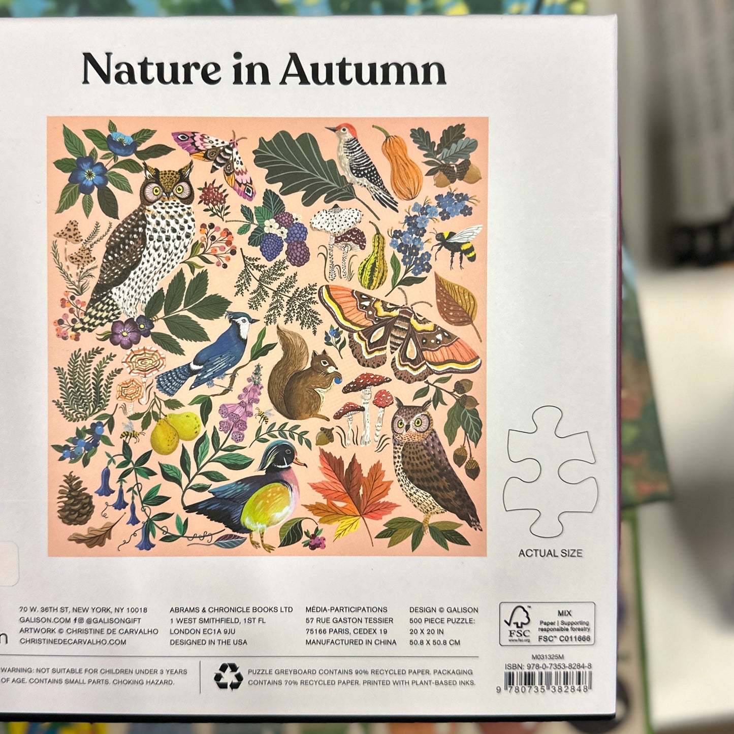 Nature in Autumn 500-bitar pussel