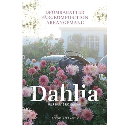 Dahlia : drömrabatter, färgkomposition och arrangemang