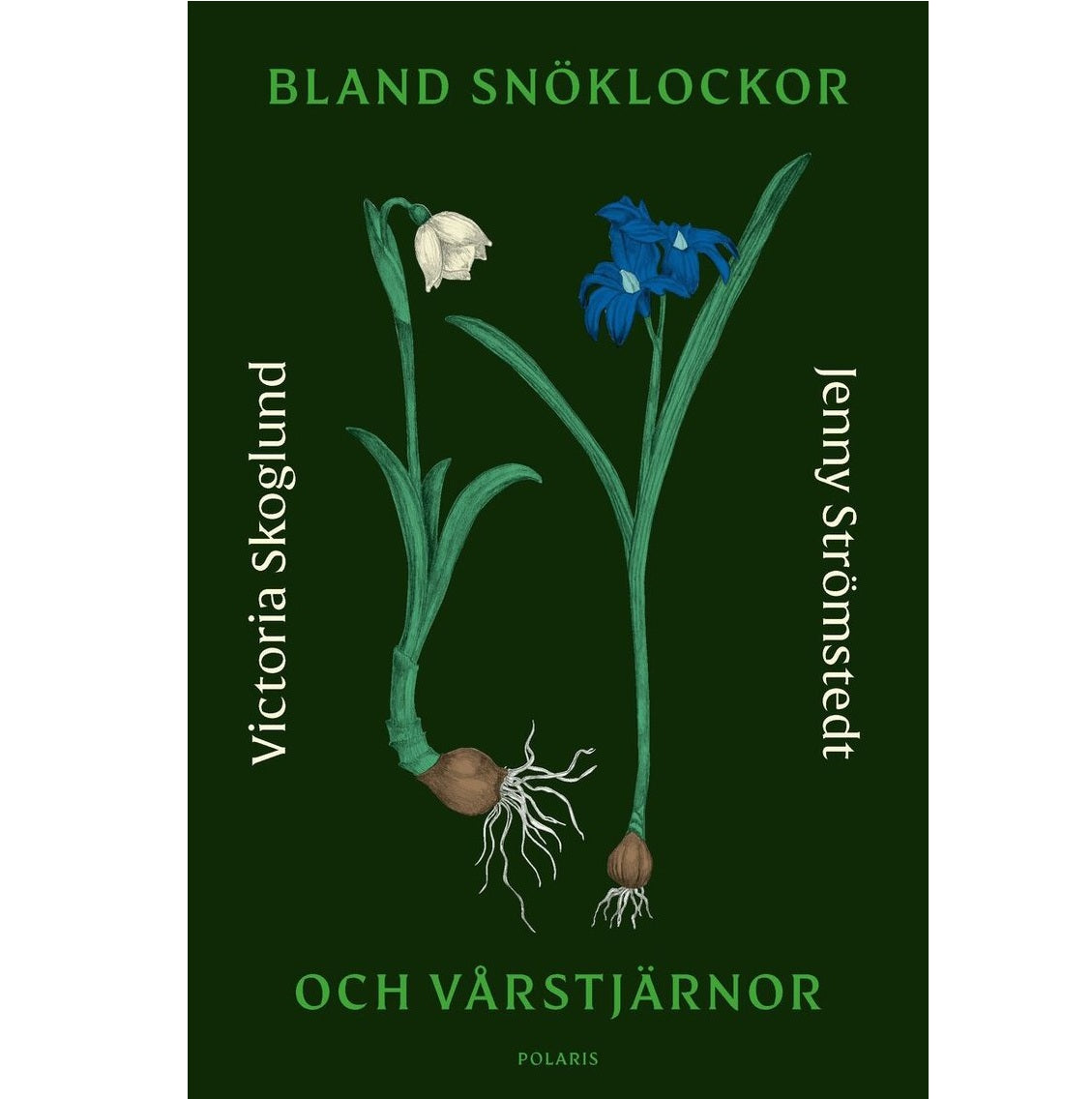 Bland snöklockor och vårstjärnor