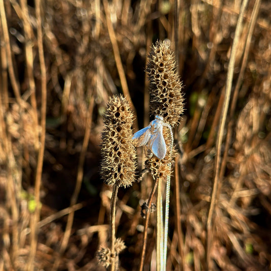 Halsband Pollinatör