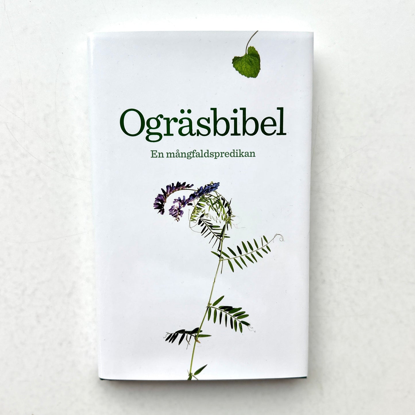 Ogräsbibel