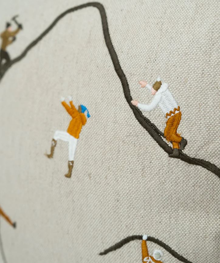 Kuddfodral bergsklättrare