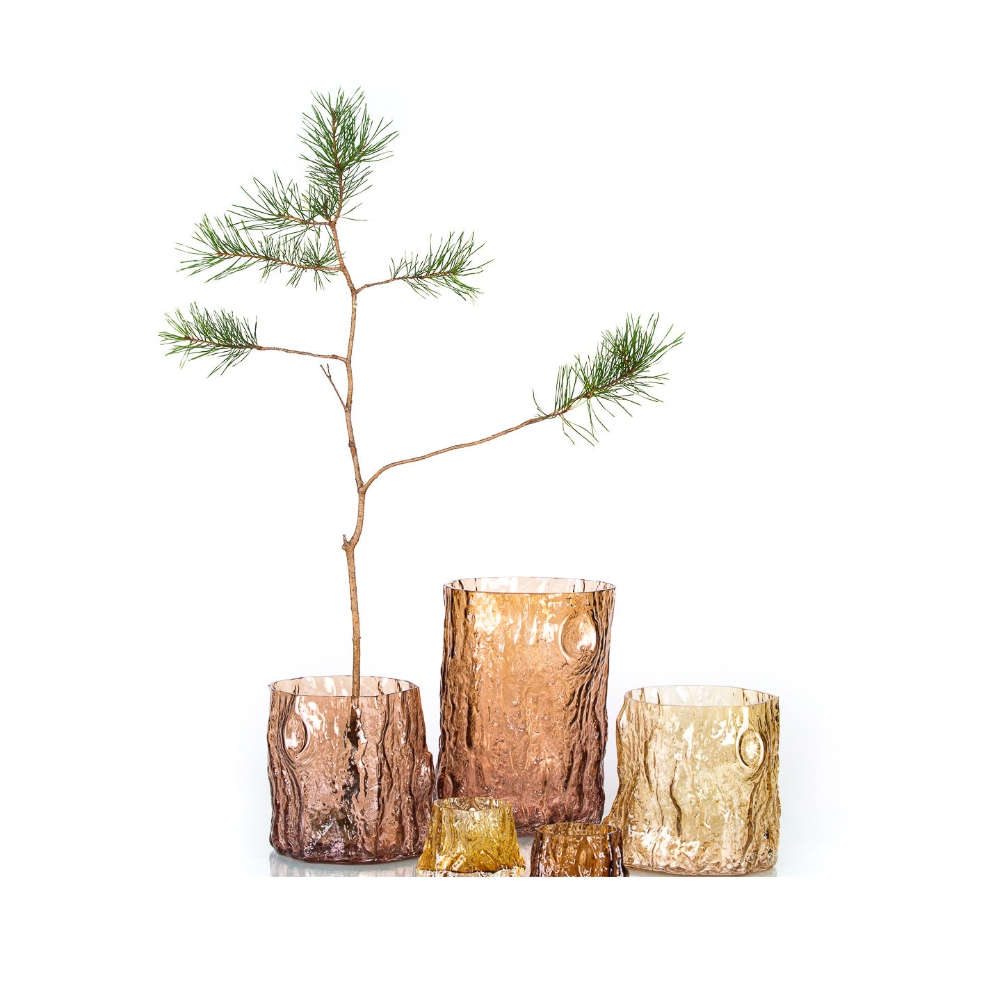 Skog vas Markus Emilsson