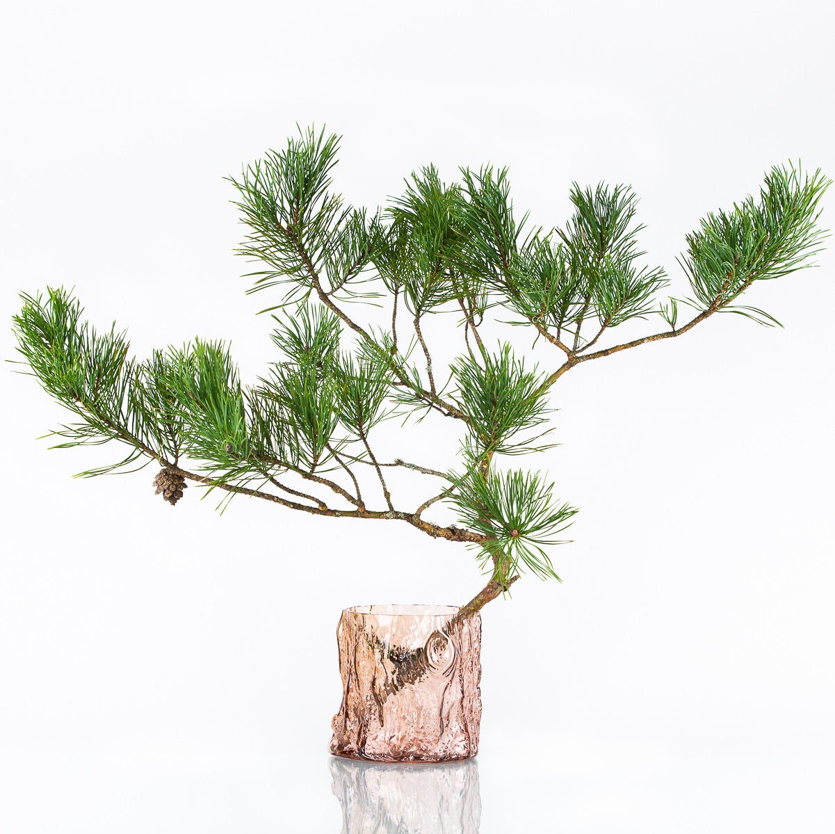 Skog vas Markus Emilsson