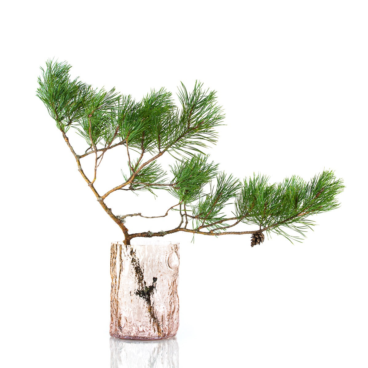 Skog vas Markus Emilsson