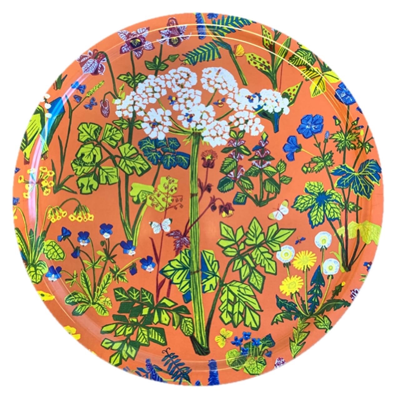 Bricka Aurora, roströd